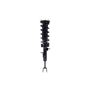 FCS Struts 1335584R Suspension Strut and Coil Spring Assembly