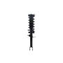 FCS Struts 1335585R Suspension Strut and Coil Spring Assembly