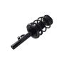 FCS Struts 1335588R Suspension Strut and Coil Spring Assembly