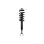 FCS Struts 1335591L Suspension Strut and Coil Spring Assembly