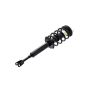 FCS Struts 1335591L Suspension Strut and Coil Spring Assembly