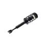 FCS Struts 1335591R Suspension Strut and Coil Spring Assembly