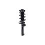 FCS Struts 1335594 Suspension Strut and Coil Spring Assembly