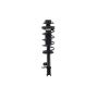 FCS Struts 1335604R Suspension Strut and Coil Spring Assembly