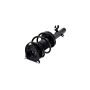 FCS Struts 1335615L Suspension Strut and Coil Spring Assembly