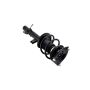 FCS Struts 1335615L Suspension Strut and Coil Spring Assembly