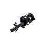FCS Struts 1335615L Suspension Strut and Coil Spring Assembly