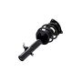 FCS Struts 1335615R Suspension Strut and Coil Spring Assembly