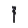 FCS Struts 1335664 Suspension Strut and Coil Spring Assembly