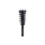 FCS Struts 1335664 Suspension Strut and Coil Spring Assembly