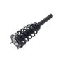FCS Struts 1335664 Suspension Strut and Coil Spring Assembly