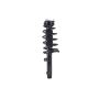 FCS Struts 1335718R Suspension Strut and Coil Spring Assembly