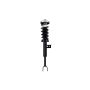 FCS Struts 1335774R Suspension Strut and Coil Spring Assembly
