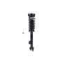 FCS Struts 1335778 Suspension Strut and Coil Spring Assembly
