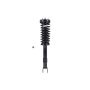 FCS Struts 1335778 Suspension Strut and Coil Spring Assembly