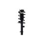 FCS Struts 1335779L Suspension Strut and Coil Spring Assembly
