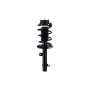FCS Struts 1335779L Suspension Strut and Coil Spring Assembly