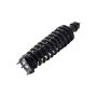 FCS Struts 1335793 Suspension Strut and Coil Spring Assembly