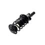 FCS Struts 1335795R Suspension Strut and Coil Spring Assembly