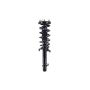 FCS Struts 1335797R Suspension Strut and Coil Spring Assembly