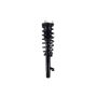 FCS Struts 1335801R Suspension Strut and Coil Spring Assembly