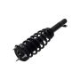 FCS Struts 1335801R Suspension Strut and Coil Spring Assembly