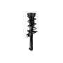 FCS Struts 1335818 Suspension Strut and Coil Spring Assembly