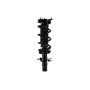 FCS Struts 1335827L Suspension Strut and Coil Spring Assembly