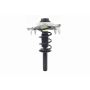 FCS Struts 1335831L Suspension Strut and Coil Spring Assembly