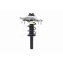 FCS Struts 1335831R Suspension Strut and Coil Spring Assembly