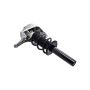 FCS Struts 1335831R Suspension Strut and Coil Spring Assembly