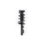FCS Struts 1335876R Suspension Strut and Coil Spring Assembly