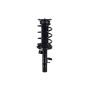 FCS Struts 1335877L Suspension Strut and Coil Spring Assembly