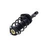 FCS Struts 1335877L Suspension Strut and Coil Spring Assembly