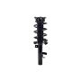 FCS Struts 1335877R Suspension Strut and Coil Spring Assembly