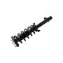FCS Struts 1335880R Suspension Strut and Coil Spring Assembly