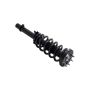 FCS Struts 1335880R Suspension Strut and Coil Spring Assembly