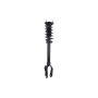 FCS Struts 1335883L Suspension Strut and Coil Spring Assembly
