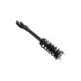 FCS Struts 1335883L Suspension Strut and Coil Spring Assembly