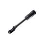 FCS Struts 1335883L Suspension Strut and Coil Spring Assembly