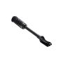 FCS Struts 1335883L Suspension Strut and Coil Spring Assembly