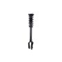 FCS Struts 1335883R Suspension Strut and Coil Spring Assembly