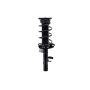 FCS Struts 1335893L Suspension Strut and Coil Spring Assembly