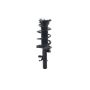 FCS Struts 1335894L Suspension Strut and Coil Spring Assembly