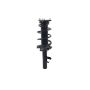 FCS Struts 1335894R Suspension Strut and Coil Spring Assembly