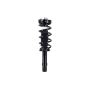 FCS Struts 1335895R Suspension Strut and Coil Spring Assembly