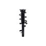 FCS Struts 1335896L Suspension Strut and Coil Spring Assembly