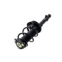 FCS Struts 1335896L Suspension Strut and Coil Spring Assembly