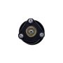 FCS Struts 1335896L Suspension Strut and Coil Spring Assembly