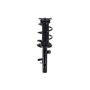 FCS Struts 1335896R Suspension Strut and Coil Spring Assembly